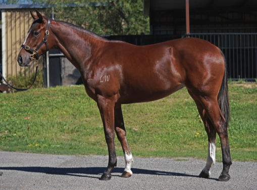 Latest Weekly Listings – All Too Hard, Pierro & Russian Revolution
